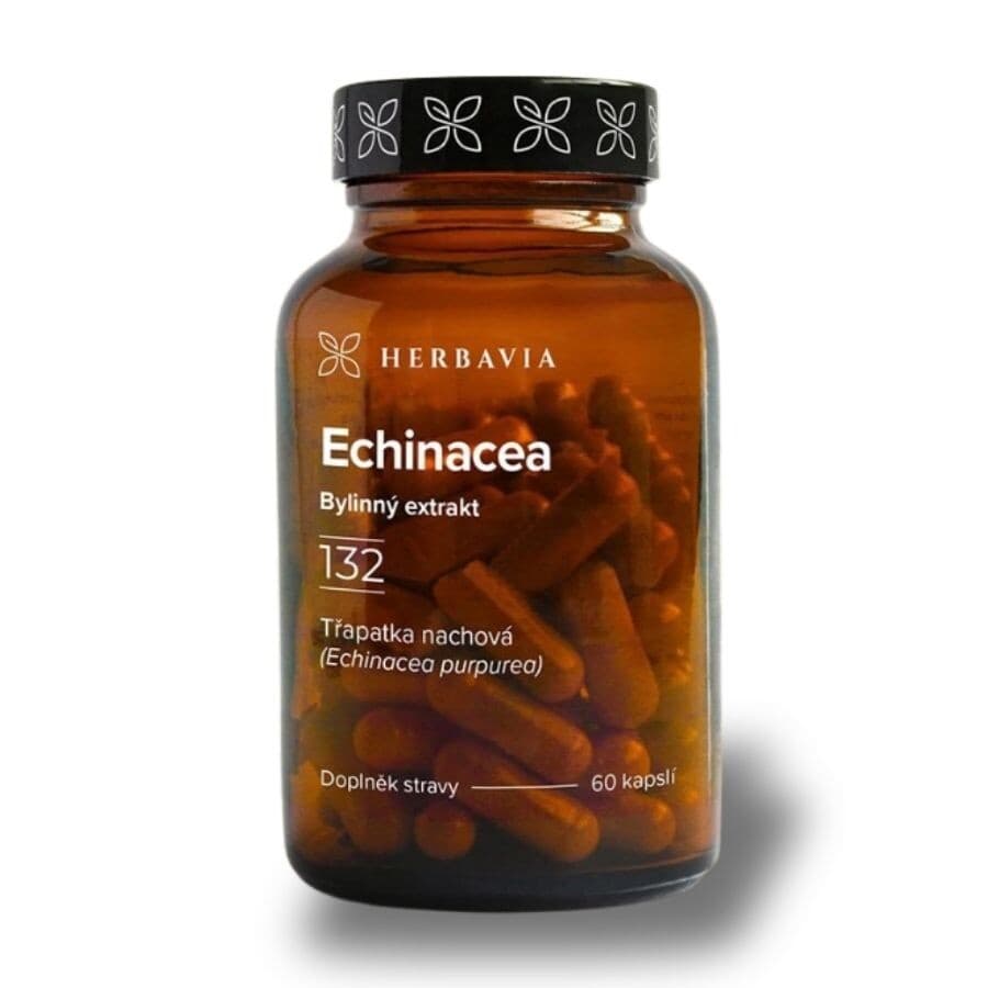 Echinacea