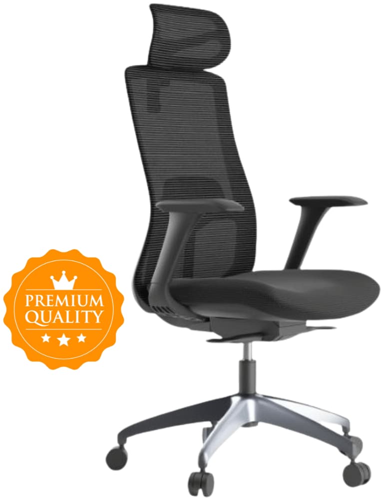 MERCURY Ergonomická kancelárska stolička WISDOM, čierny plast, tmavo sivá